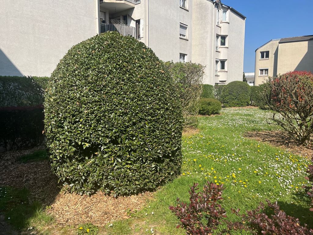 Appartement T4 ARGENTEUIL (95100) AGENCE-DIRECT.COM